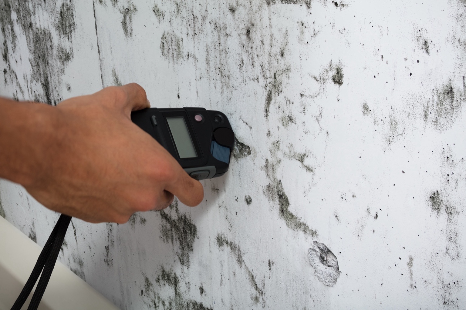 Mold assessment